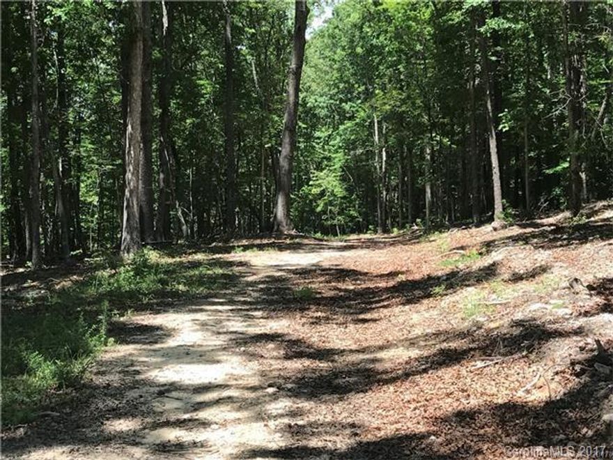 2646 S Irene Bridge Hwy Hickory Grove, SC.  Enjoy Rural living while embracing Wildlife galore on this 20.95 acre Tract of Land that offers Flowing Creek,  Beautiful Hardwoods, 3 Ac. Food Plot for Hunting, & approx. 10 Ac. of Open Pasture. Build your Dream home on One of the many Home Sites available. Farm, Raise Cattle, Ride Horses or ATV’s, & Enjoy Country Private Living w/no HOA!