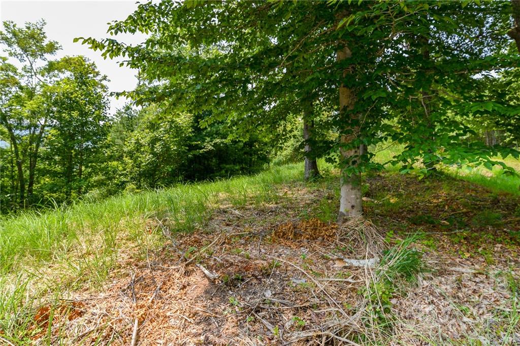 319 The Vines Boulevard 21