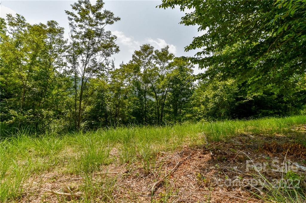 319 The Vines Boulevard 21