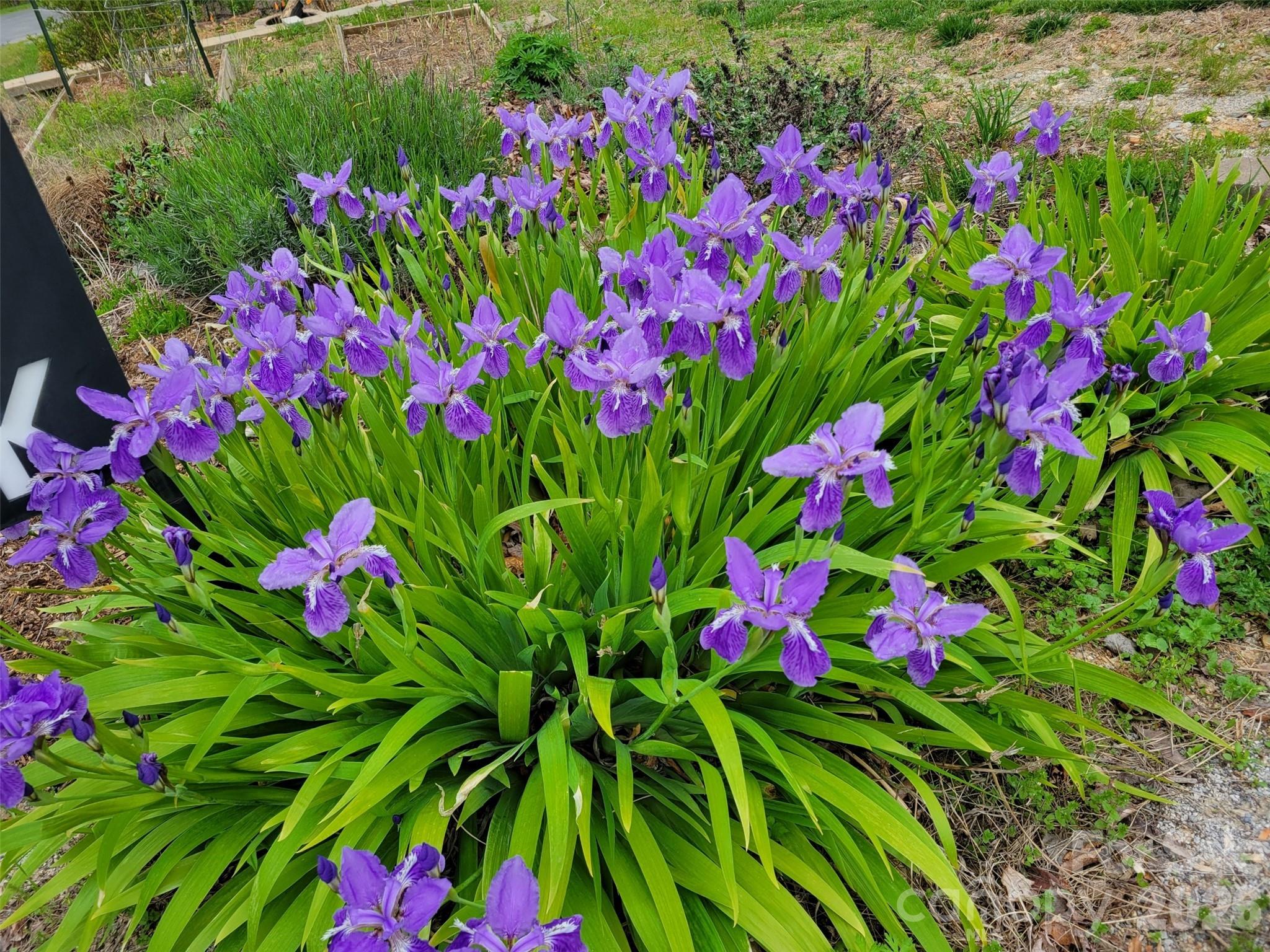 Grandview Peaks - Residential