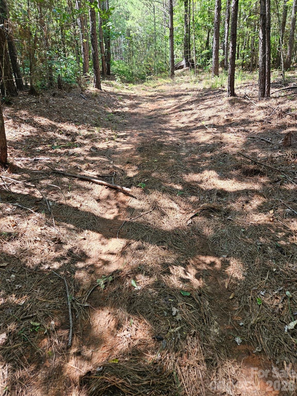 00 Cypress Drive, Winnsboro, SC, 29180