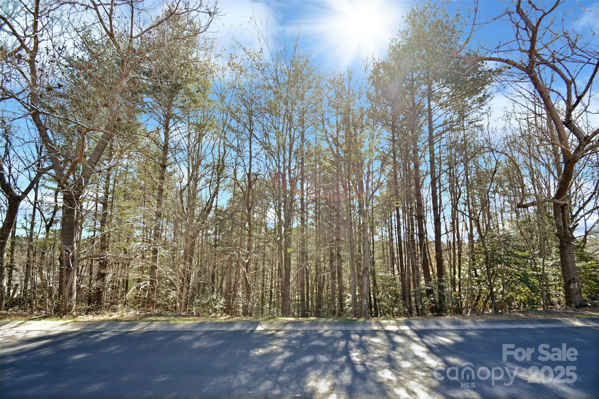 1551 Braxton Gate Drive