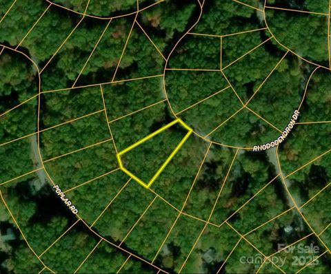 111 Rhododendron Drive Beech Mountain NC 28604