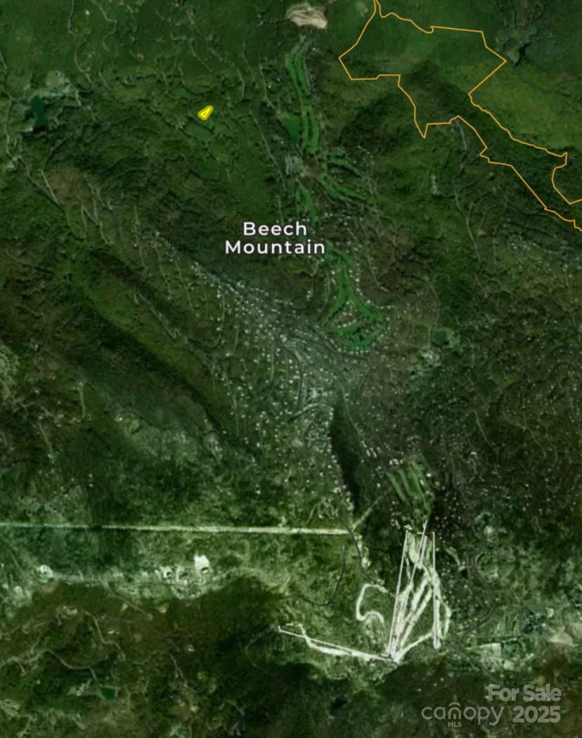 111 Rhododendron Drive