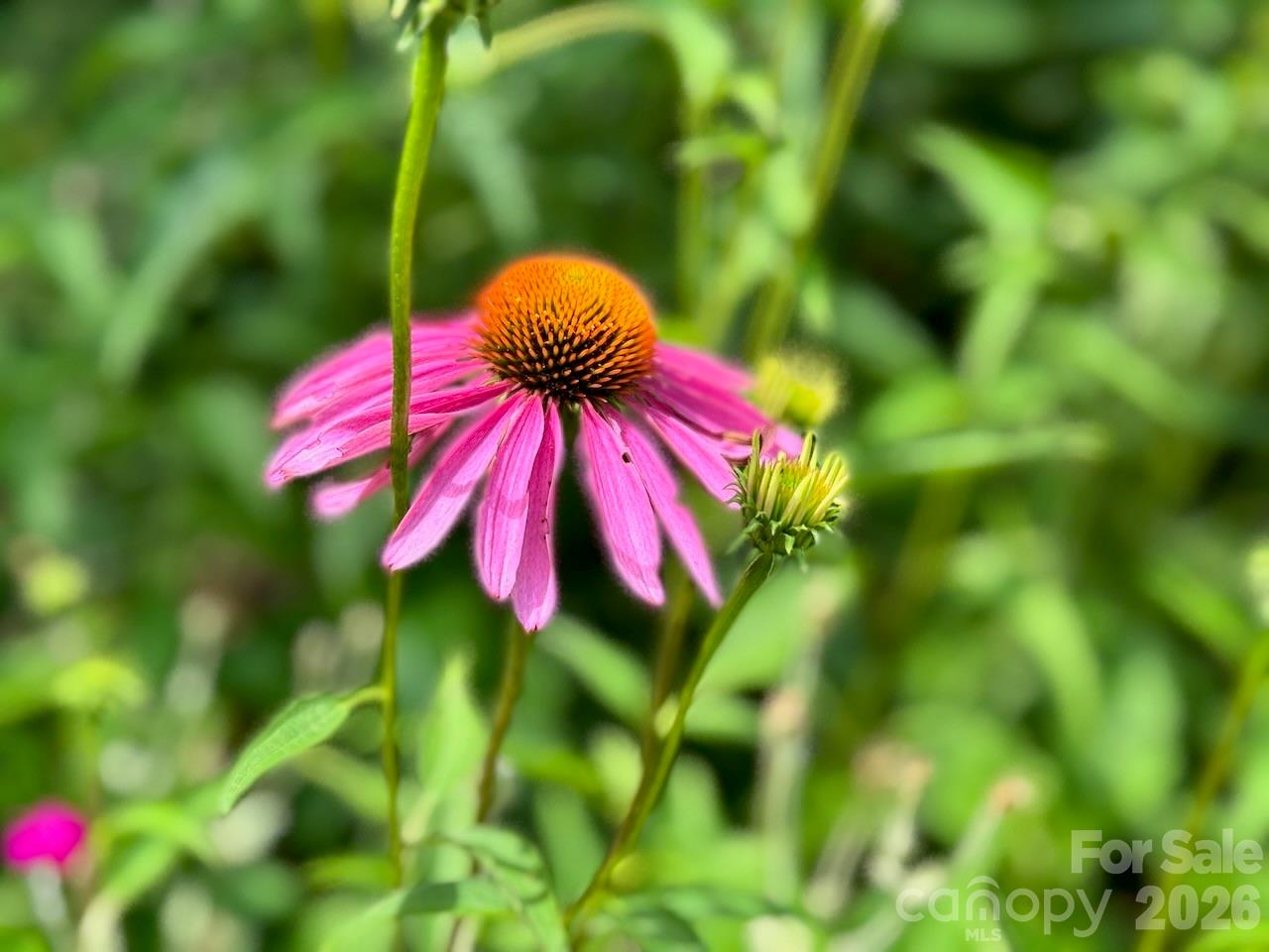 Hillside Park - Residential Income