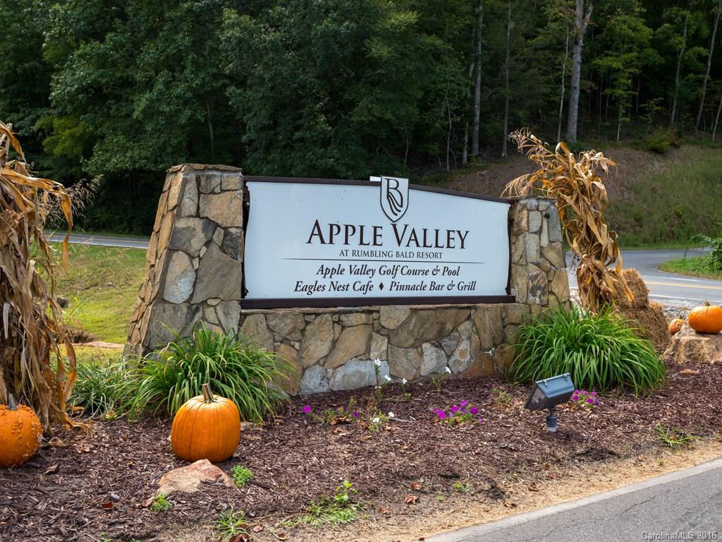 Rumbling Bald on Lake Lure - Residential
