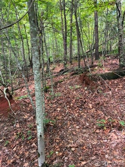 Lot 33 Justice Drive 33