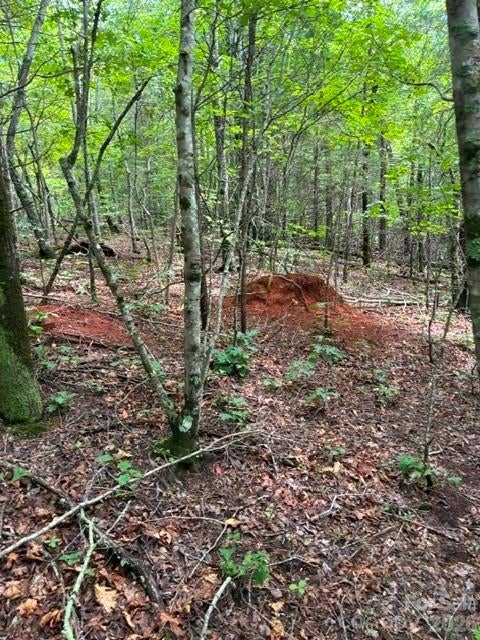 Lot 33 Justice Drive 33
