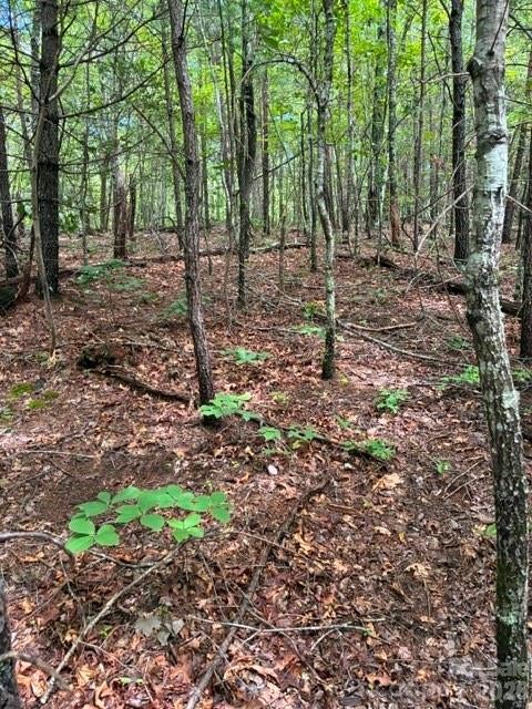 Lot 33 Justice Drive 33