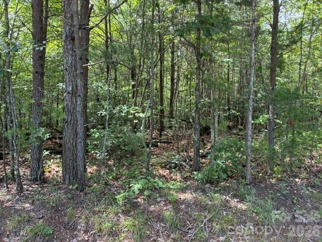 Lot 33 Justice Drive 33