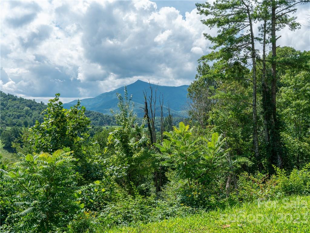 Lot 5 Locust Rough Mountain Road