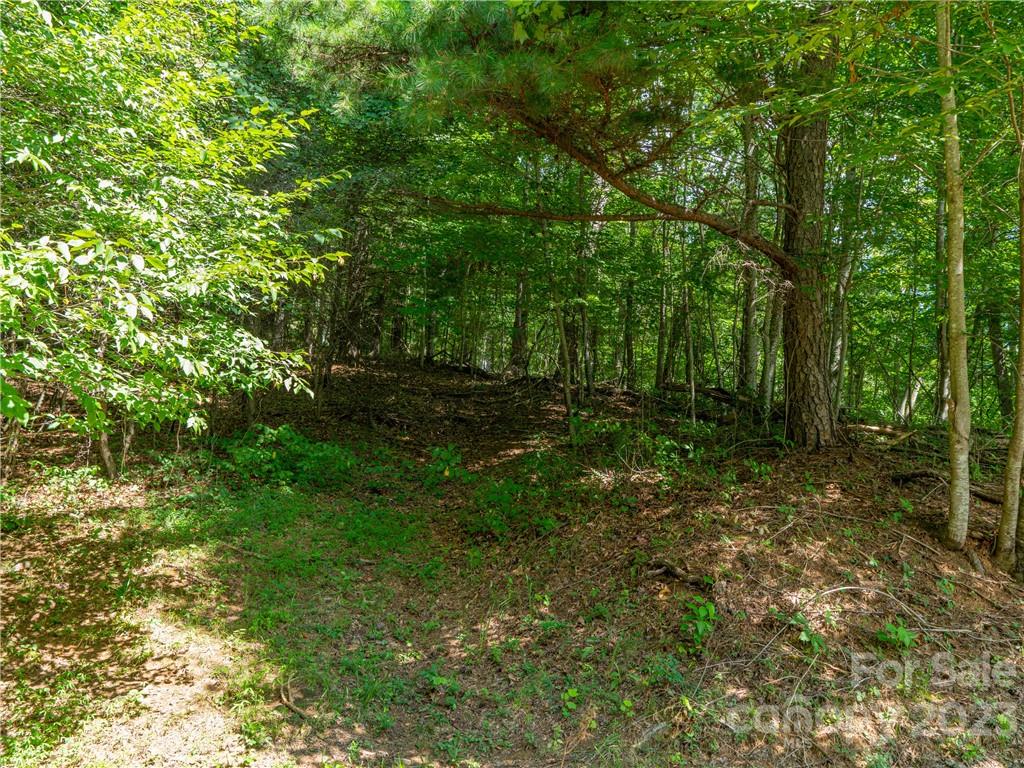 Lot 5 Locust Rough Mountain Road