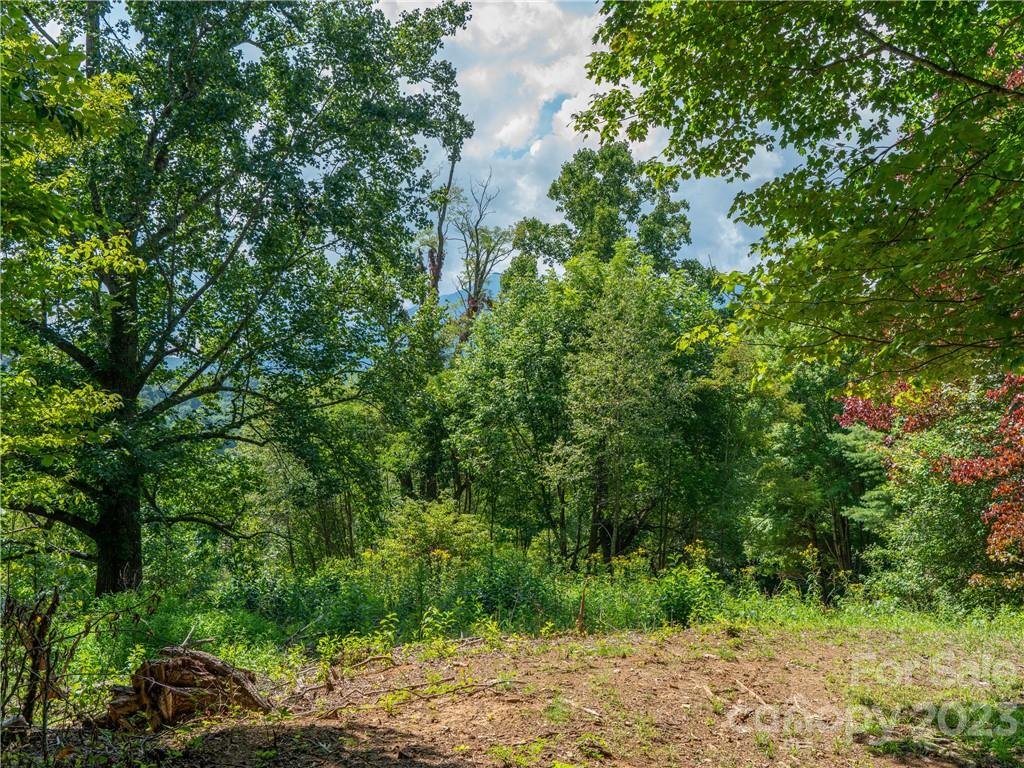 Lot 5 Locust Rough Mountain Road