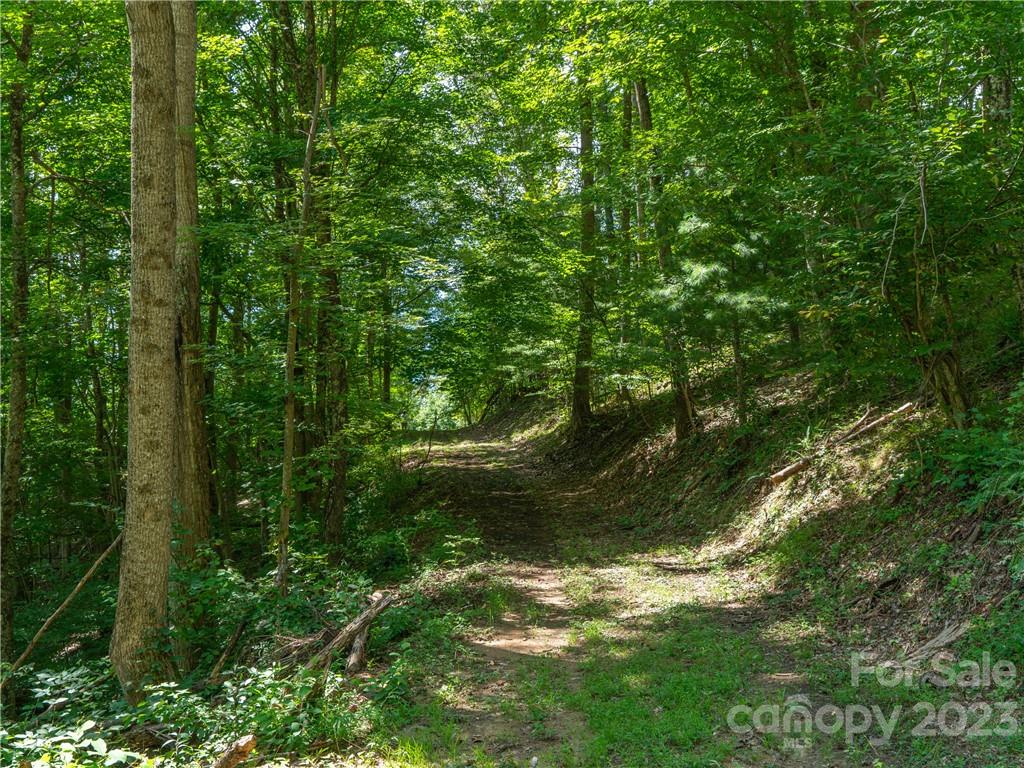 Lot 5 Locust Rough Mountain Road