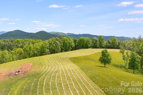 Photo of TBD California Creek Road, Mars Hill, NC 28754 (MLS # 4387821)