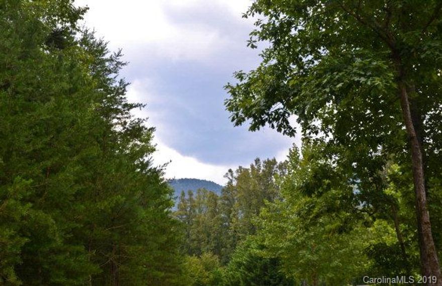 LARGE TRACT OF LAND for GREAT PRICE! Don't miss out on being the proud owner of this 4.4 +/- acre lot in Old Fort NC!. Priced BELOW current tax value! Located at the end of road and features 3 different lots... Tract G features road frontage on Bat Cave Road and Tract H & I will likely feature very nice mountain views with some tree clearing! This is a great find and close to Old Fort, Asheville, or Marion. Act now and call today.