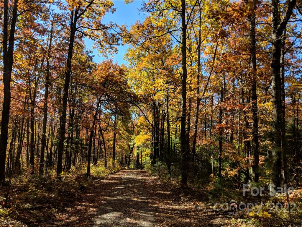 Rock Creek Hills - Land