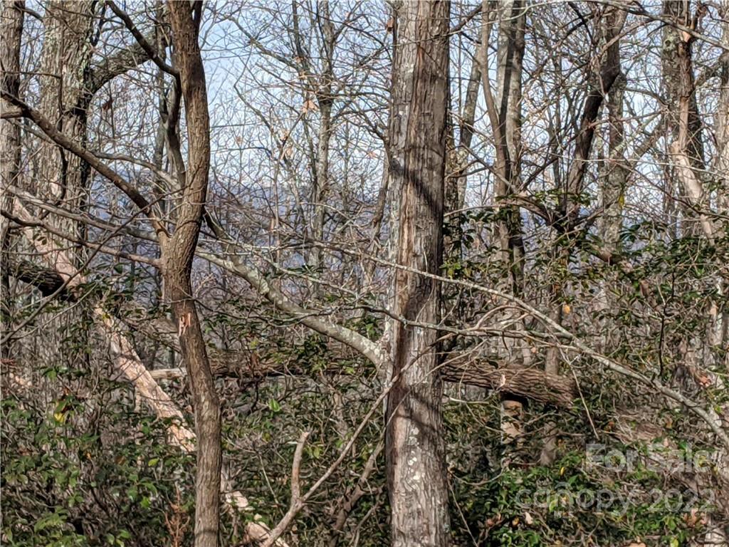 Rock Creek Hills - Land