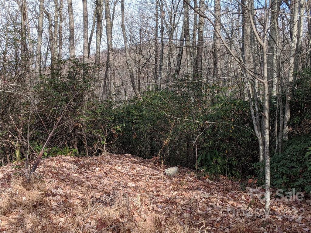 Rock Creek Hills - Land