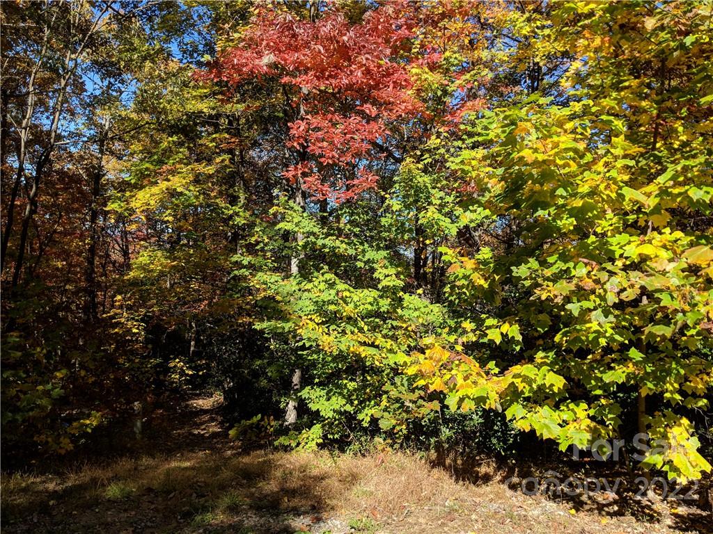 Rock Creek Hills - Land