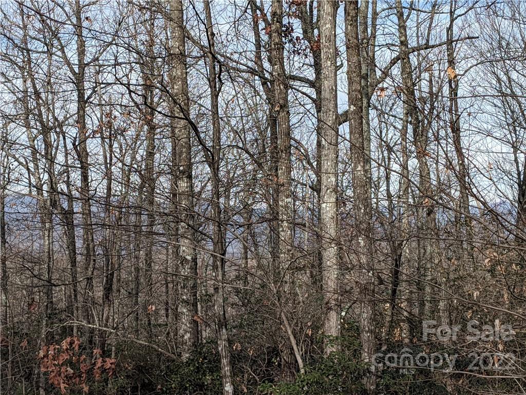 Rock Creek Hills - Land