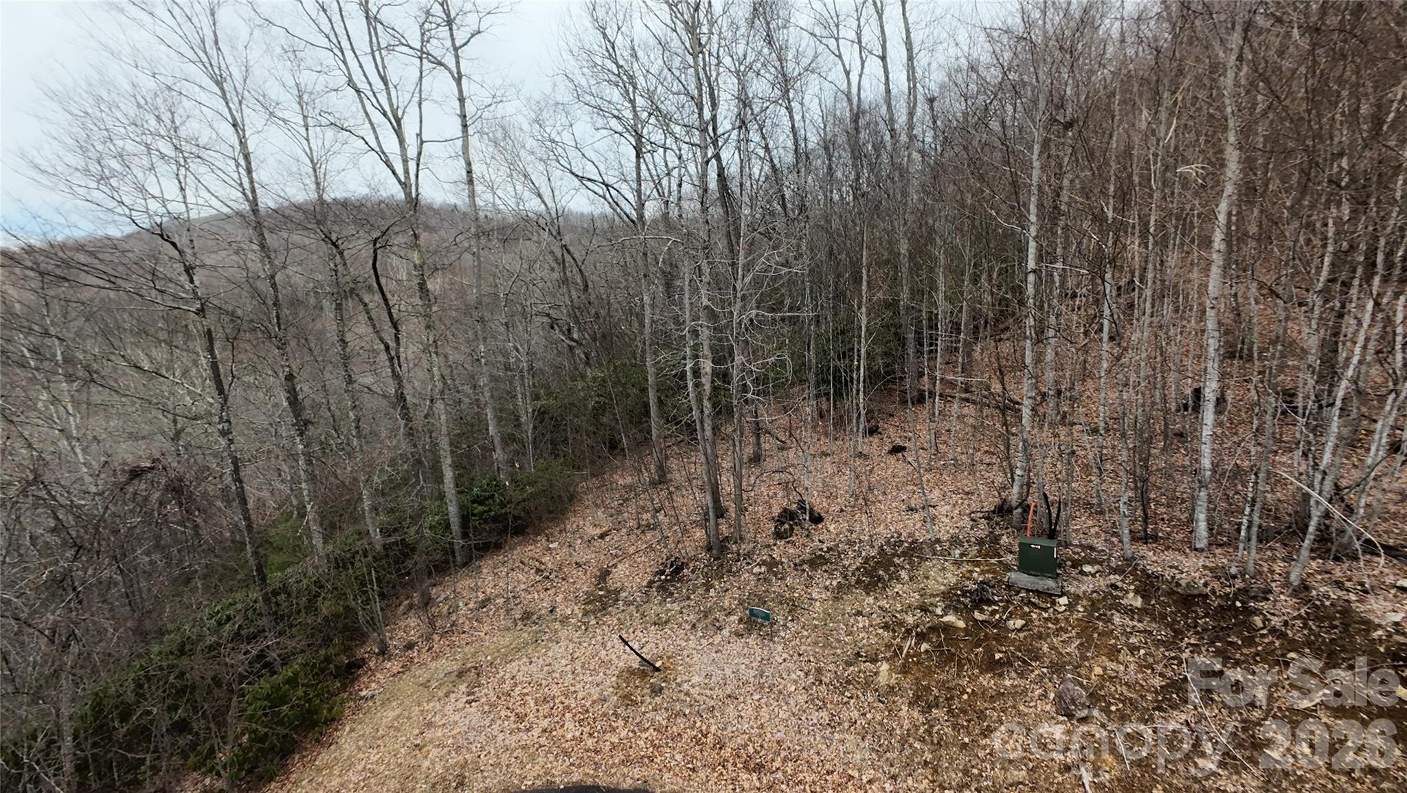 TBD Chardonnay Court 1