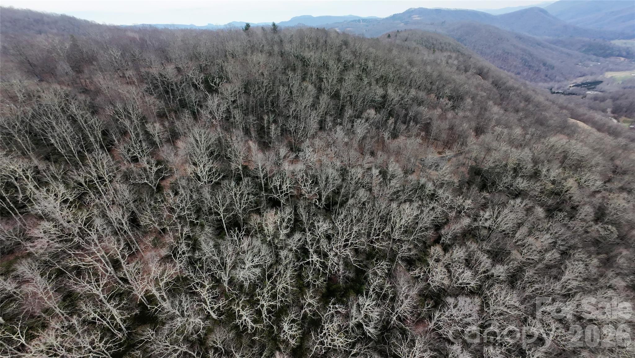 TBD Chardonnay Court 1