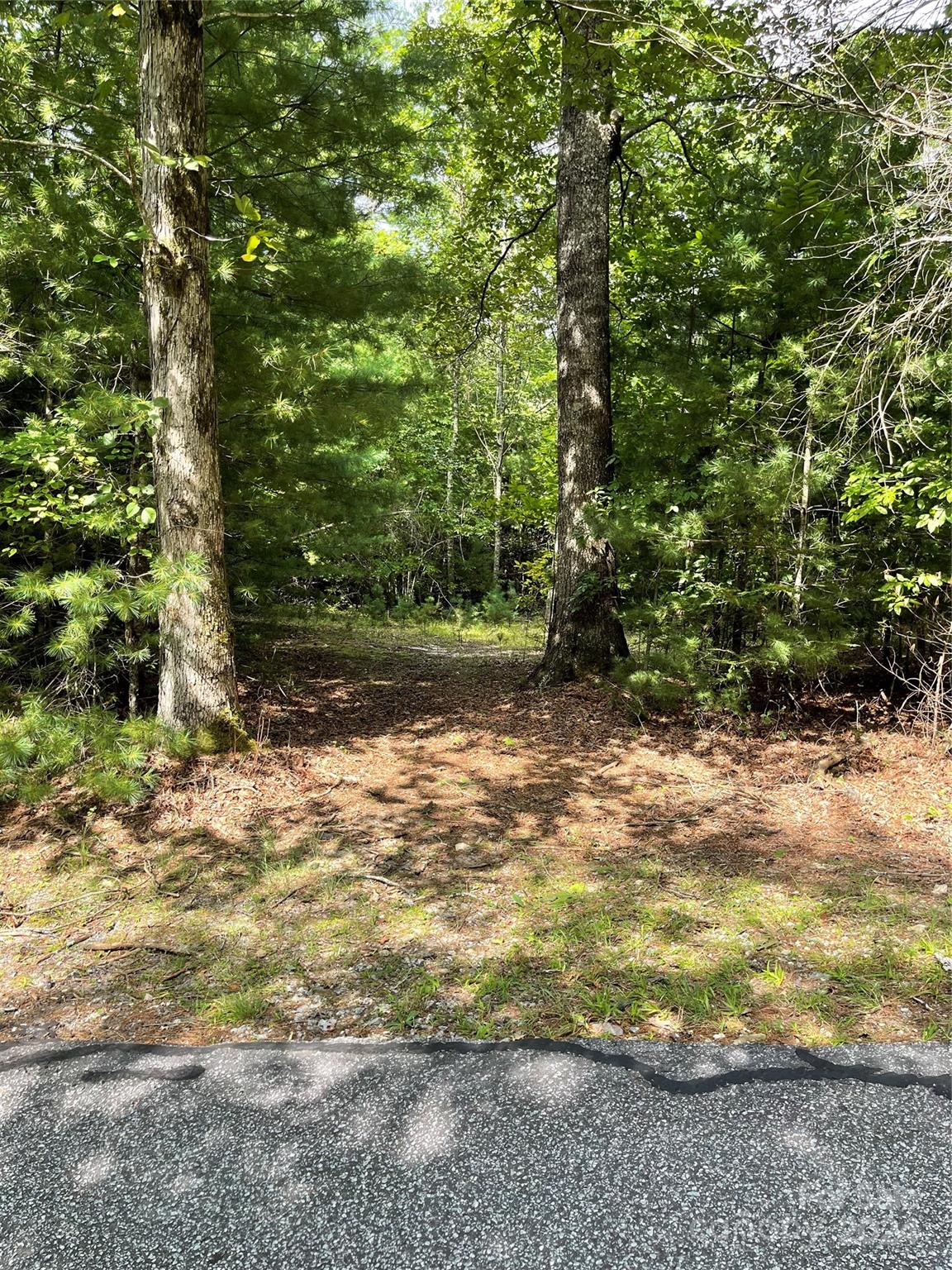 #25 Oleta Mill Trail