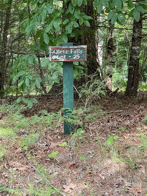 #25 Oleta Mill Trail Dana NC 28792