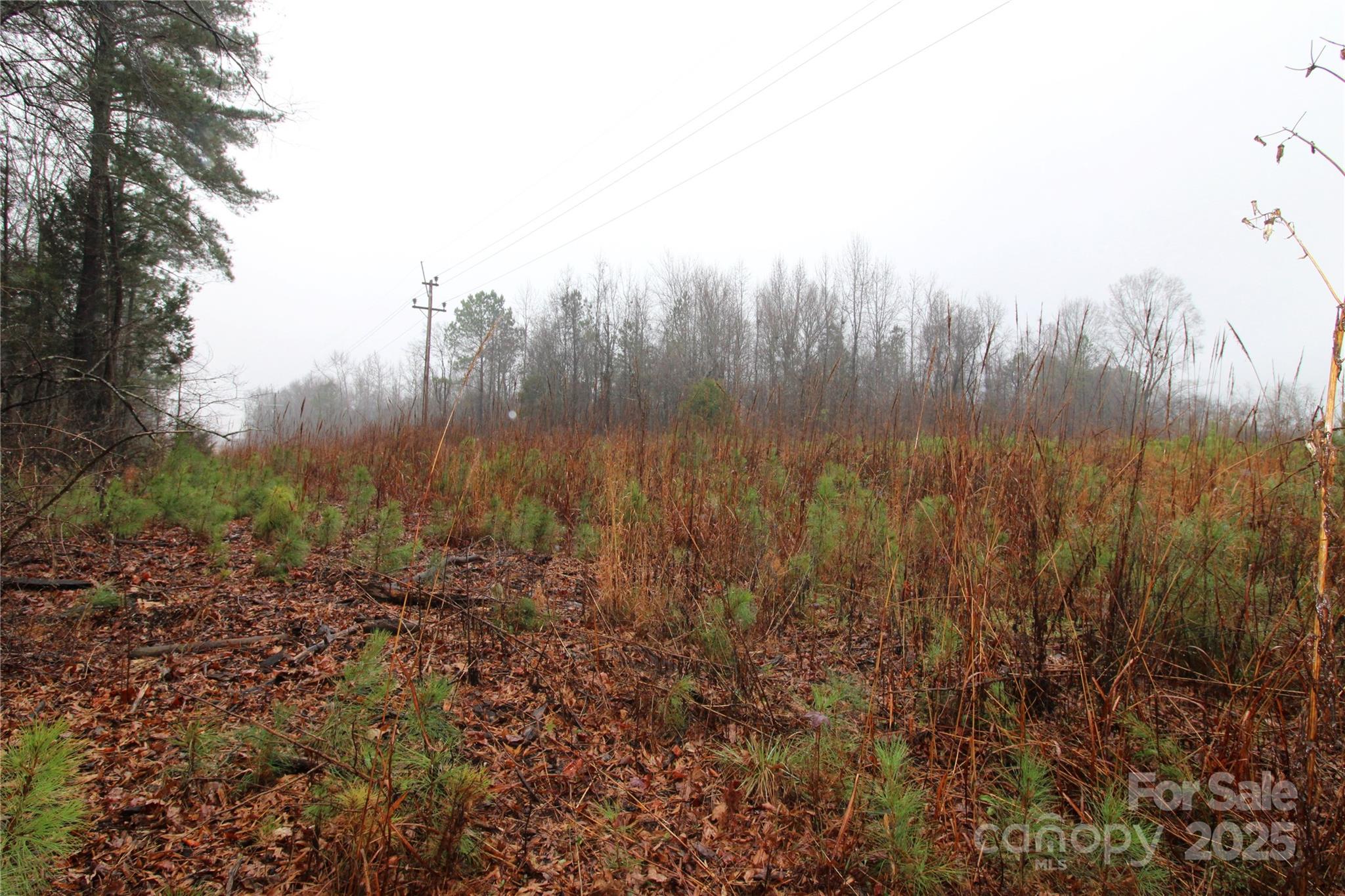 4+/-AC LOT 5 Neal Road