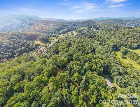 TBD Barts Branch Drive 16 Balsam Grove NC 28708
