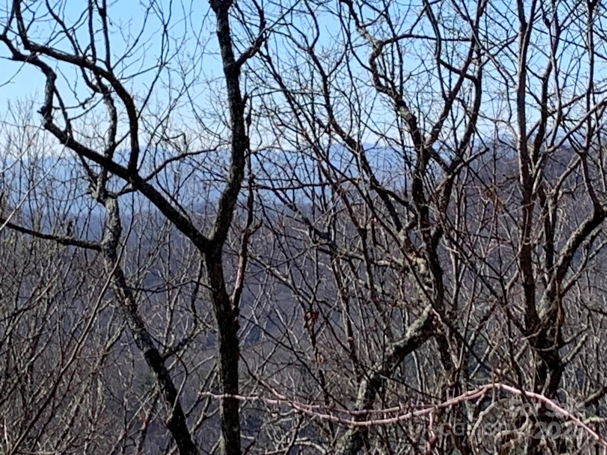 Butler Mountain Highlands - Land