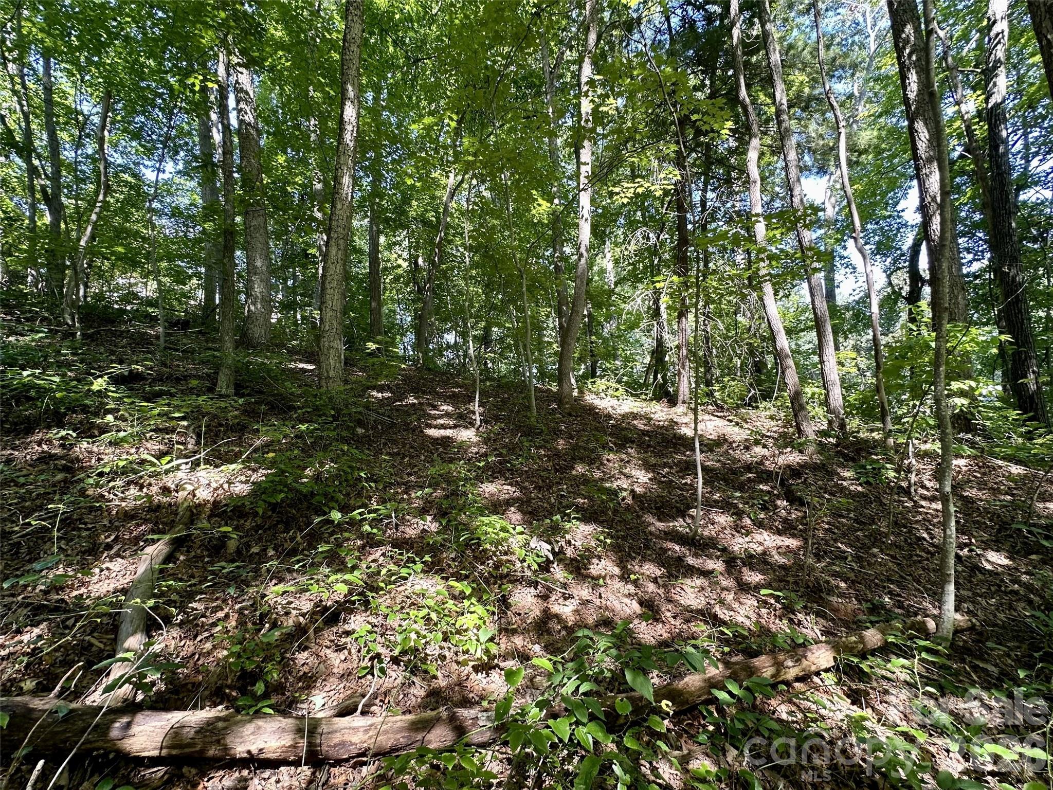 00 Liberty Road 21