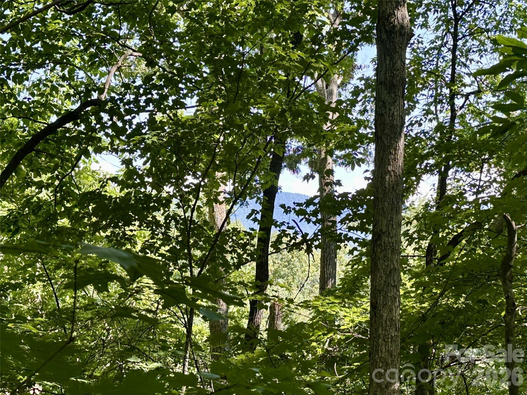 00 Liberty Road 21