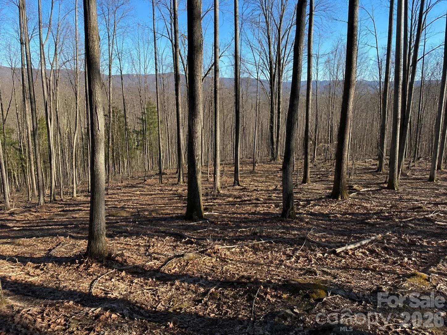 00 Crab Apple Drive, Burnsville, NC, 28714