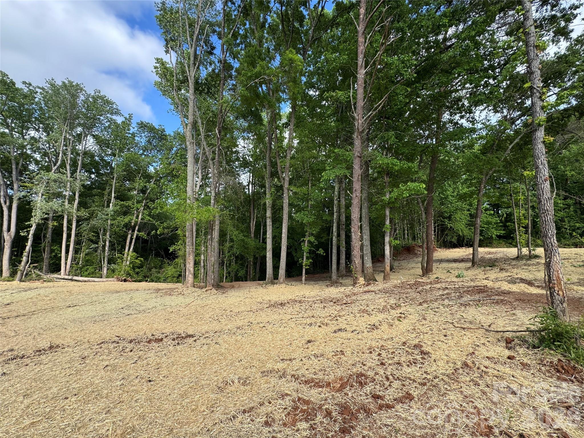 Brytewood - Land