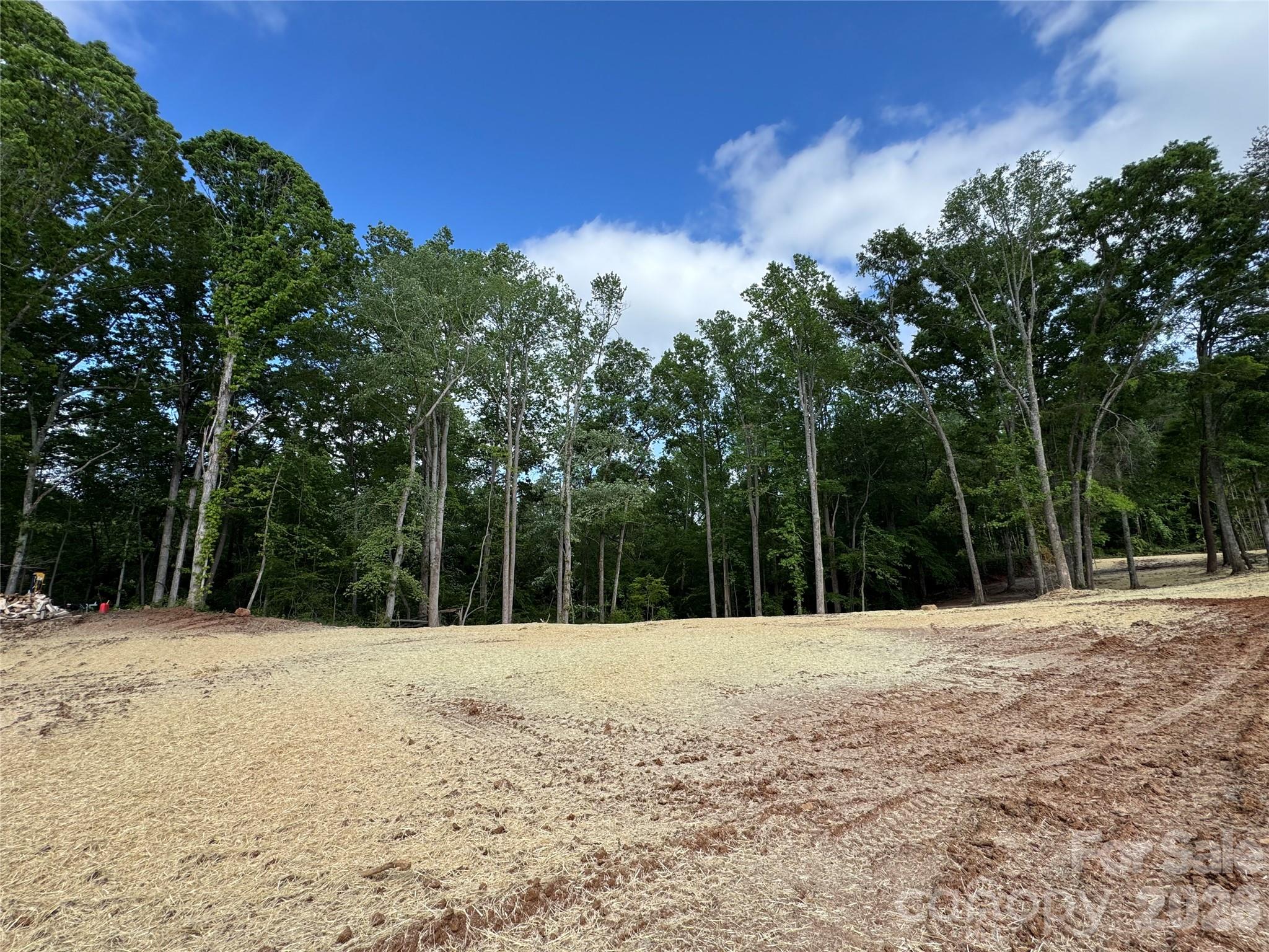 Brytewood - Land