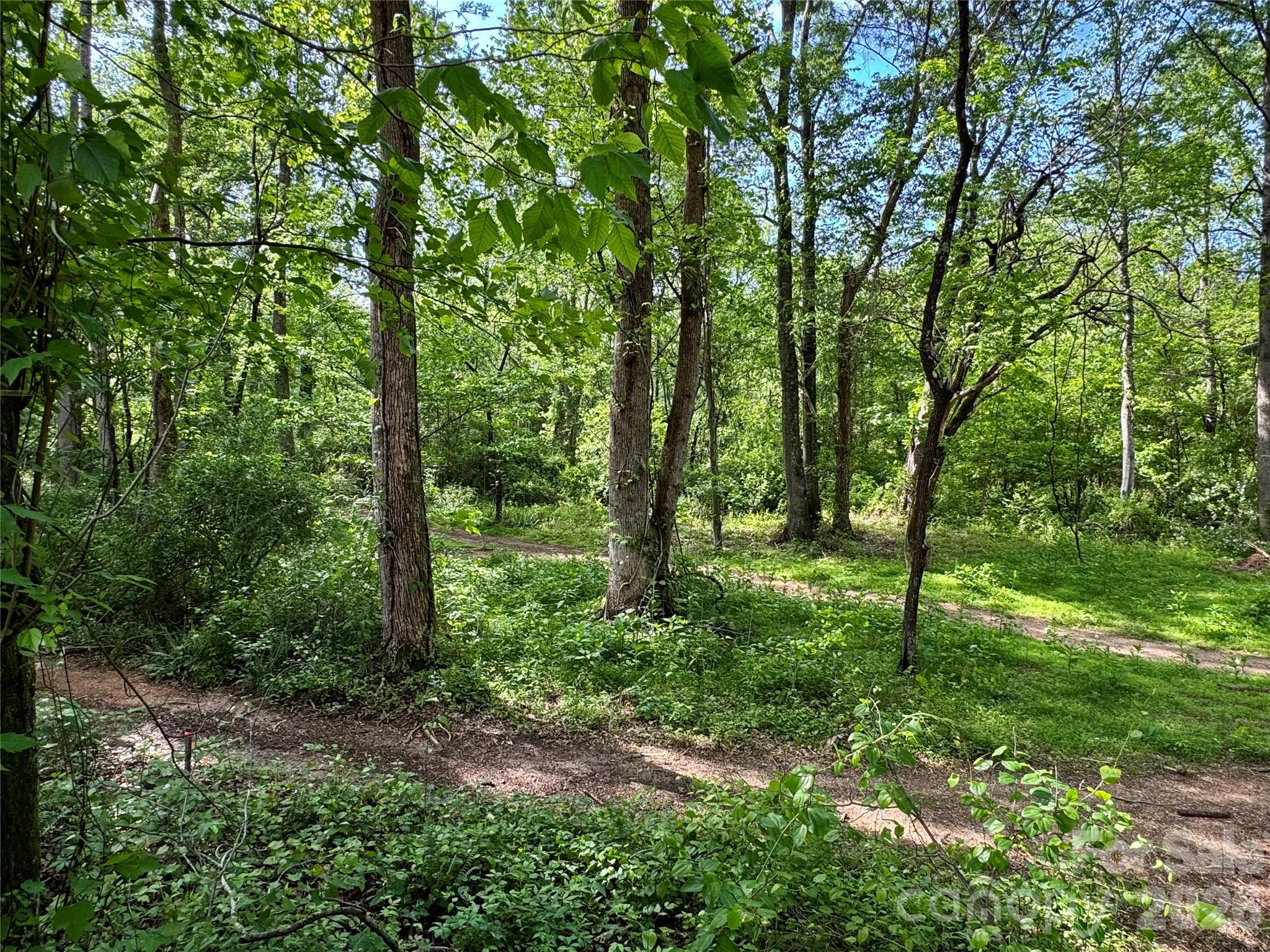 Brytewood - Land