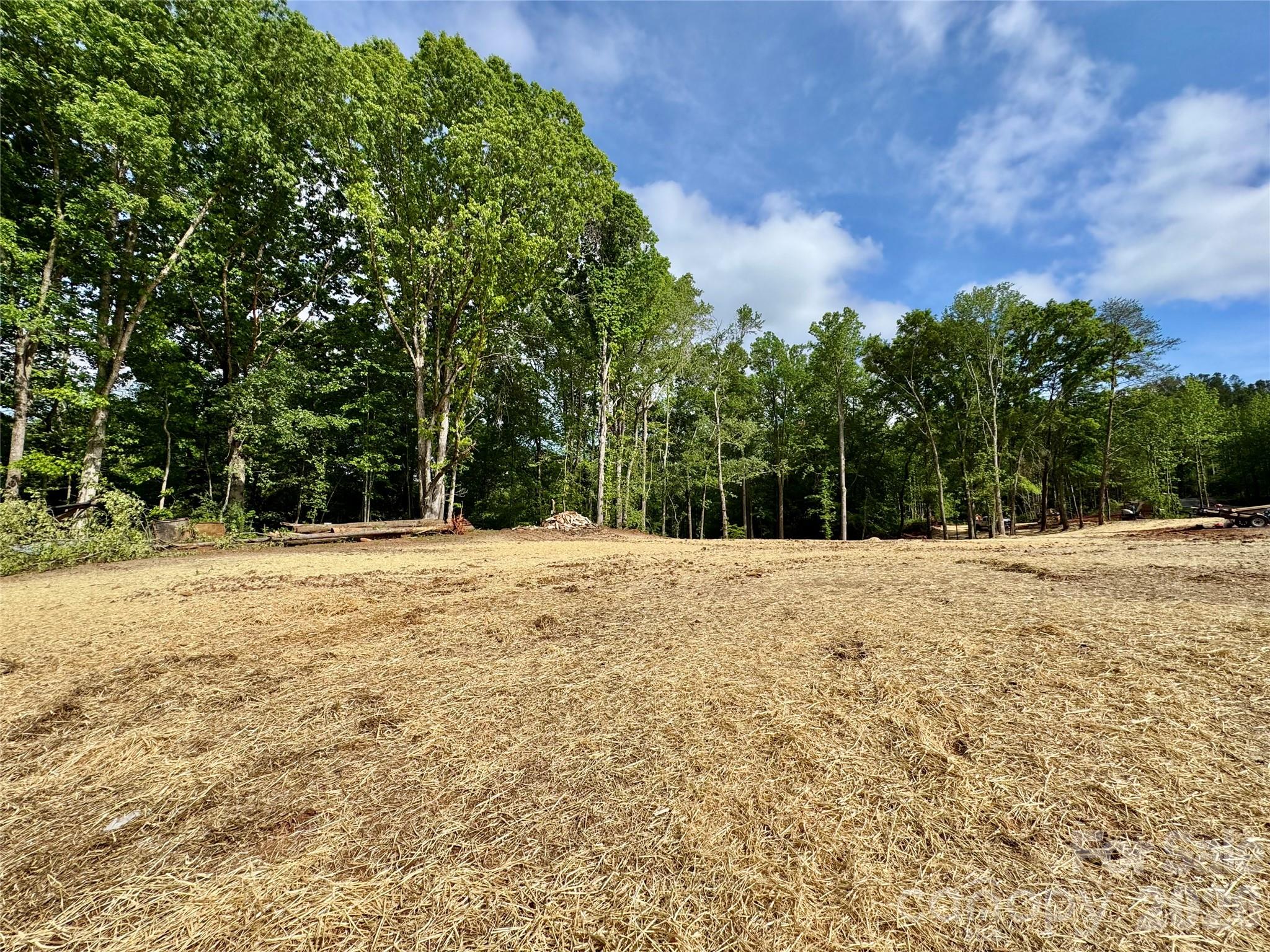 Brytewood - Land