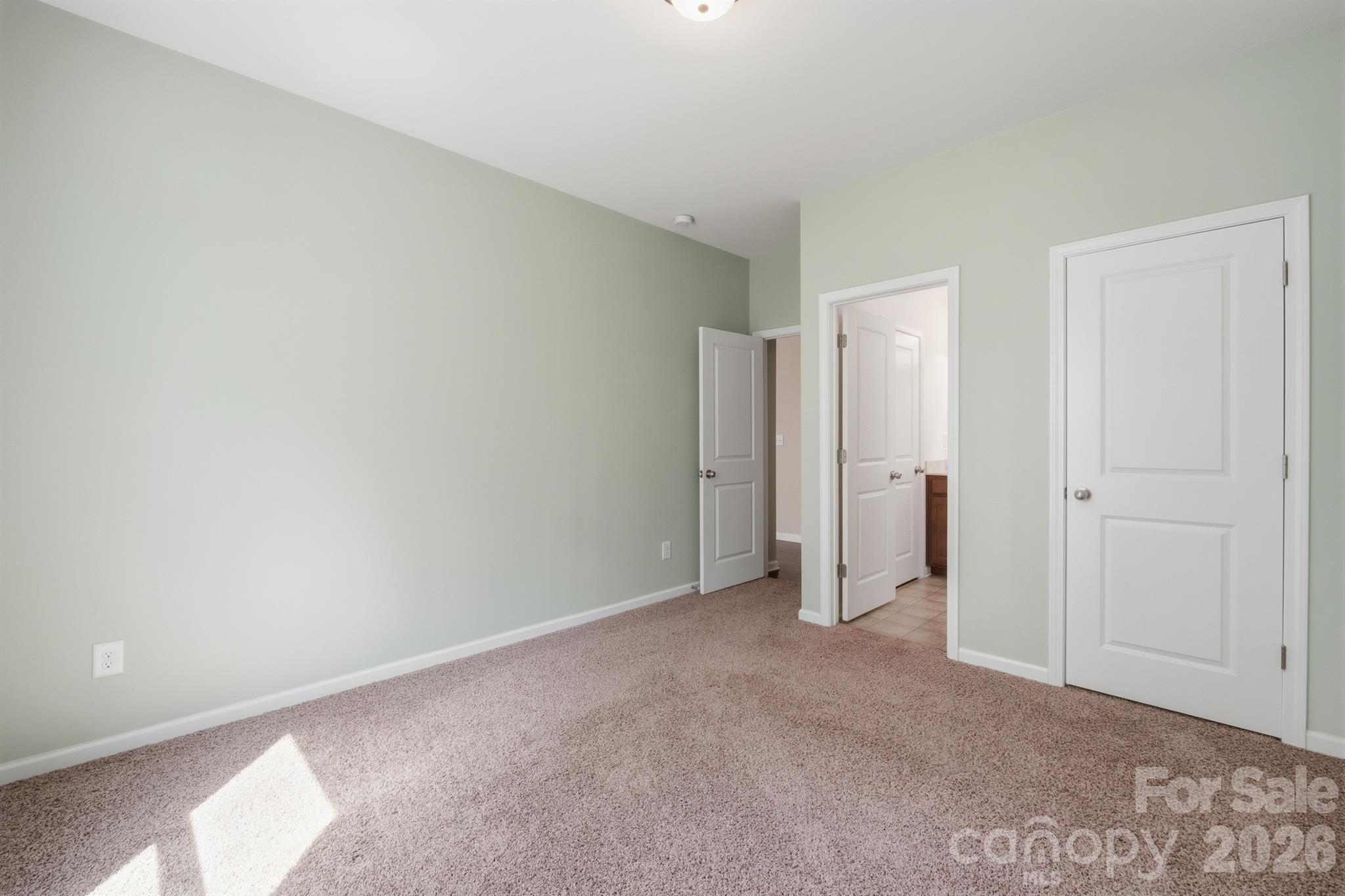 Pine Forest - Residential