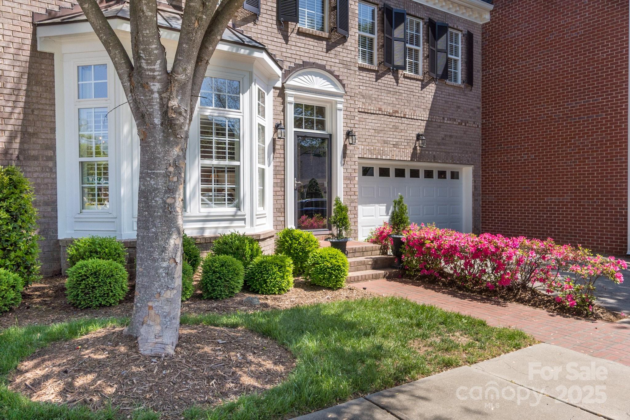 Burning Tree - Residential