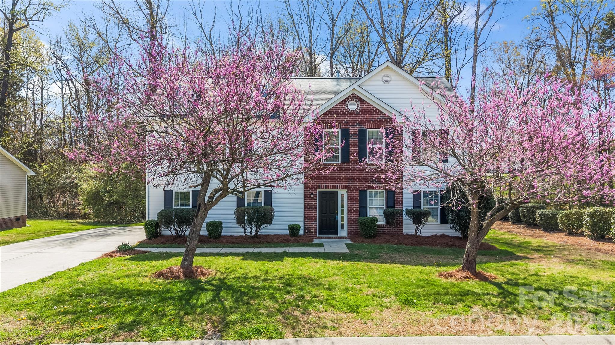 1040 Castle Rock Court