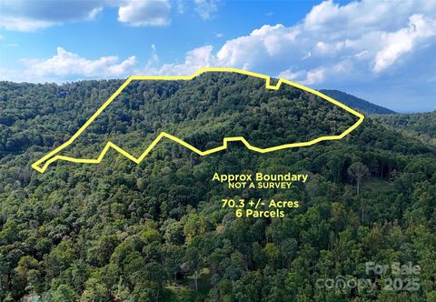 89 White Oak Gap Road Asheville NC 28803