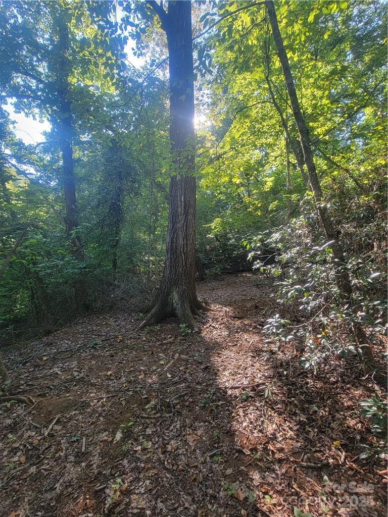 Lot 5 Appaloosa Lane 5