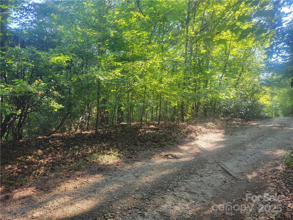 Lot 5 Appaloosa Lane 5