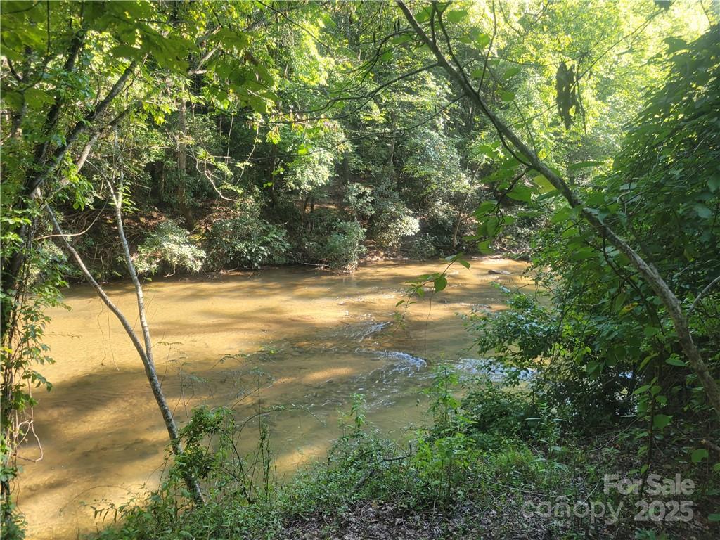 Lot 5 Appaloosa Lane 5