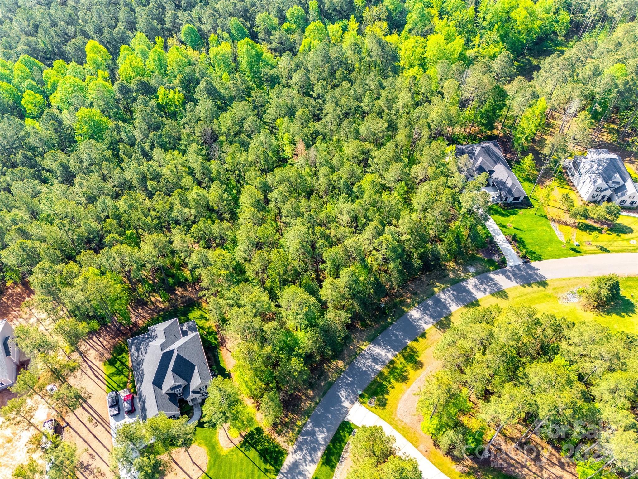 6017 Chimney Bluff Road 13