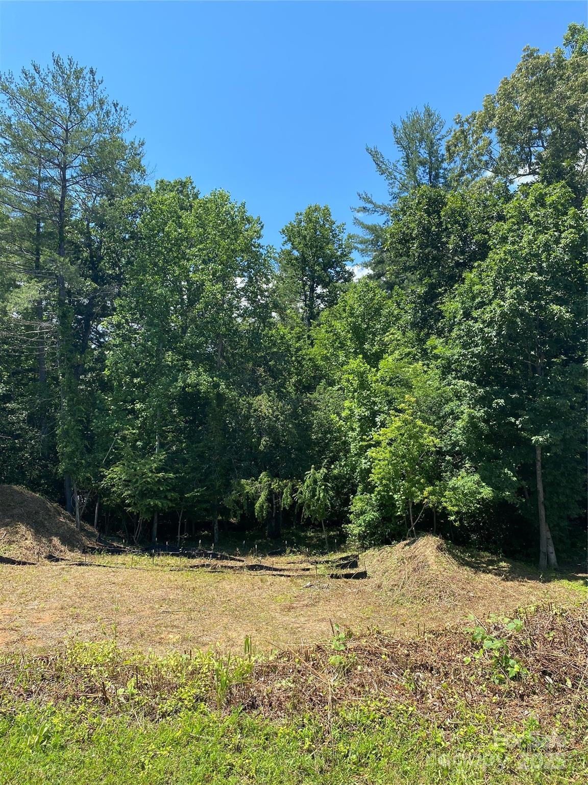 180 Williams Meadow Loop
