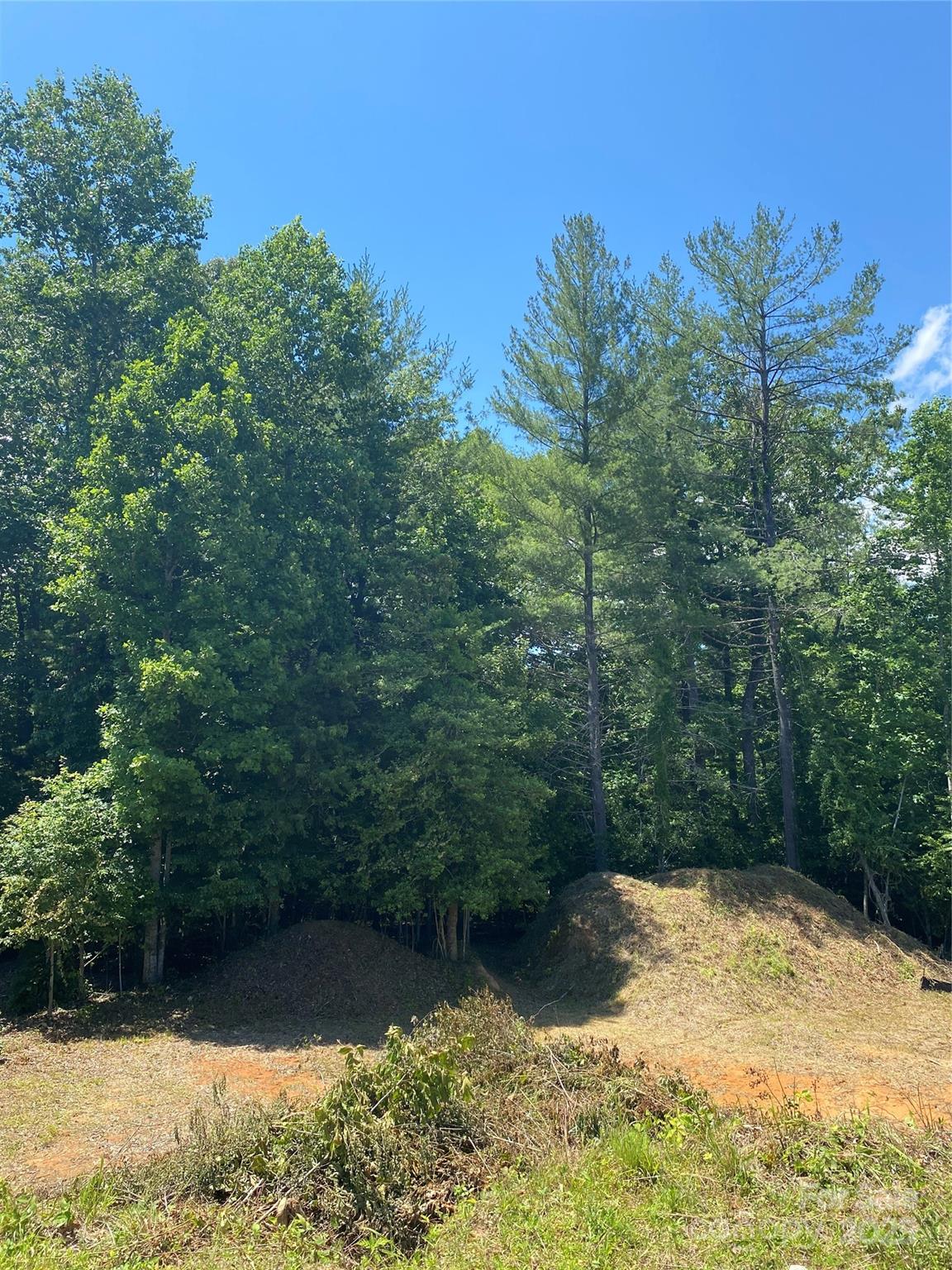 180 Williams Meadow Loop