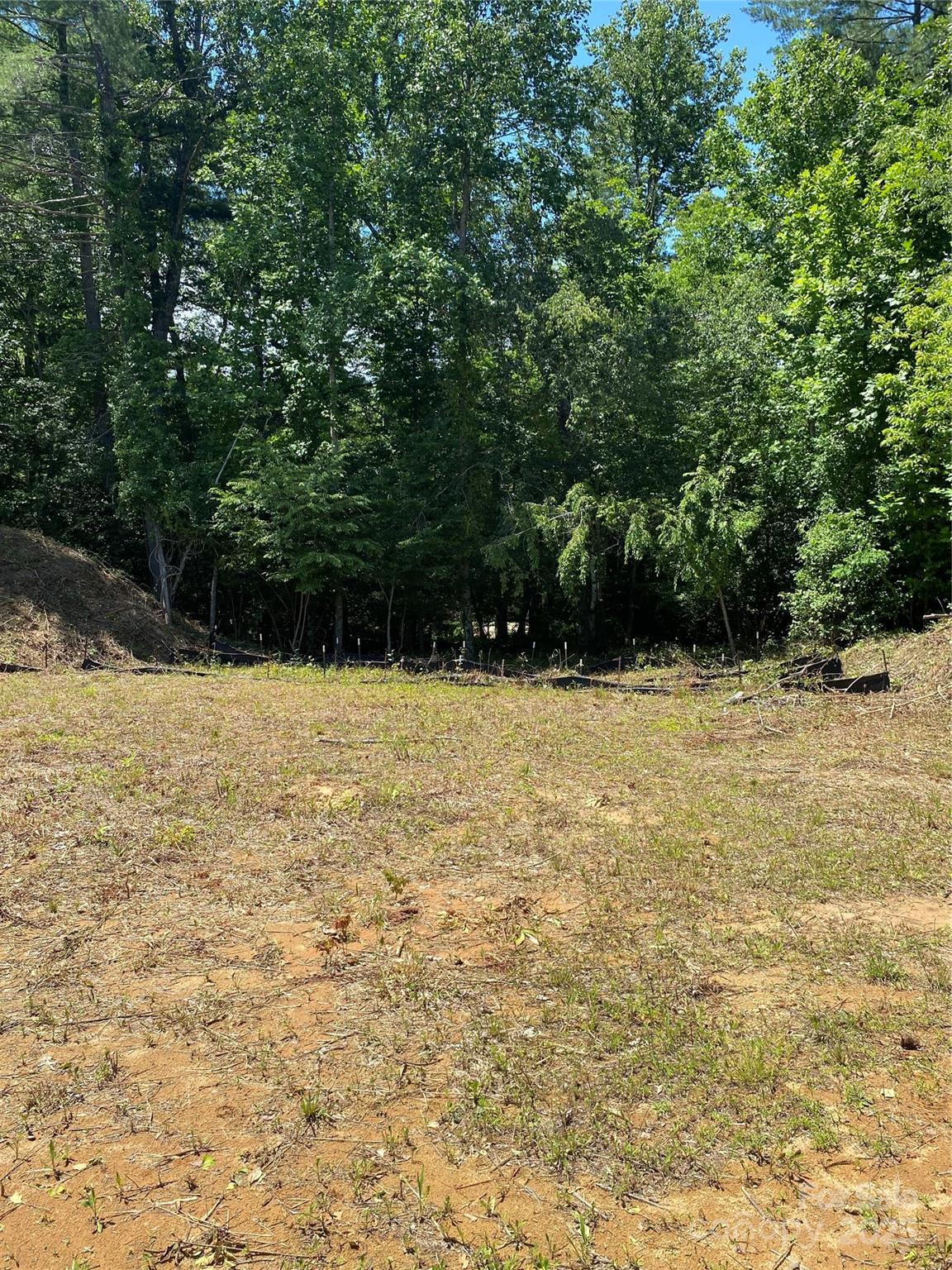 180 Williams Meadow Loop